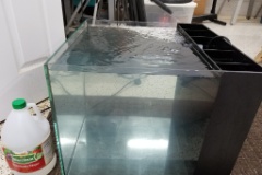 20190726 163433  I used diluted white vinegar to clean and then I tested the tank for leaks and to make sure the return pump worked ok.