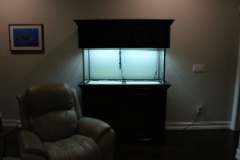 IMG 4972  The Aquarium Woods Grande Crown (http://aquariumwoodproducts.com/aquarium cabinet_grand series.html) stand/canopy were delivered to the LFS 5 weeks after ordering. We picked it up and setup the tank in the family room. I like the canopy setup with the front doors for easy/quick access and the whole front of the canopy can be flipped up/back for complete access. I still have the two canister filters cycling using 5 gallon buckets in the garage with Dr Tim's Ammonium Chloride and Seachem Stability.  We are waiting for the tannins to finish leaching out of some driftwood in our swimming pool before we aquascape and fill the tank with water. I plan to install a black backdrop for the tank as well.