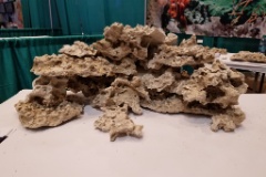 20190901 125018  We went to the MACNA 2019 show in Orlando on Sunday. Unfortunately many vendors had already left by Sunday morning because of the hurricane threat.  We did end up buying a bunch of reef rocks from the SolviReef guys.  This was the reef I came up with on the fly while at the show.