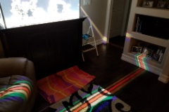 20191003 202258  Interesting  prism effect from the Radion lights.